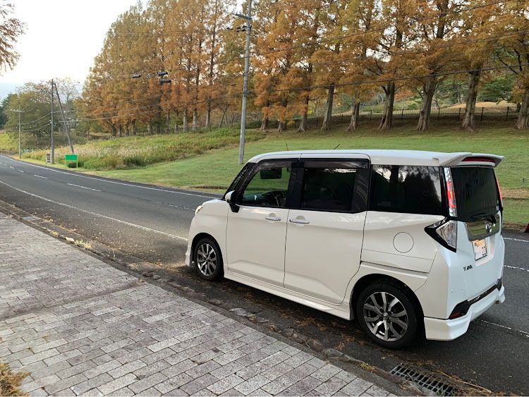 タンクカスタムの早朝ドライブ・メタセコイア並木・地元風景に関するカスタム事例の投稿画像3枚目