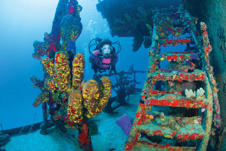 Explore the encrusted shipwrecks of Butler Bay when scuba diving in St. Croix.