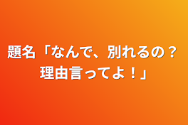 題名「なんで、別れるの？理由言ってよ！｣