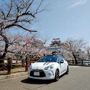 DS3 カブリオ A5CHN01