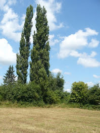 terrain à Crux-la-Ville (58)