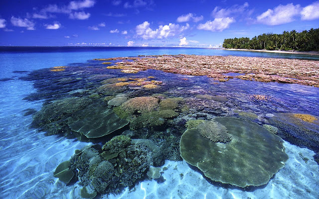 Great Barrier Reef - New Tab in HD