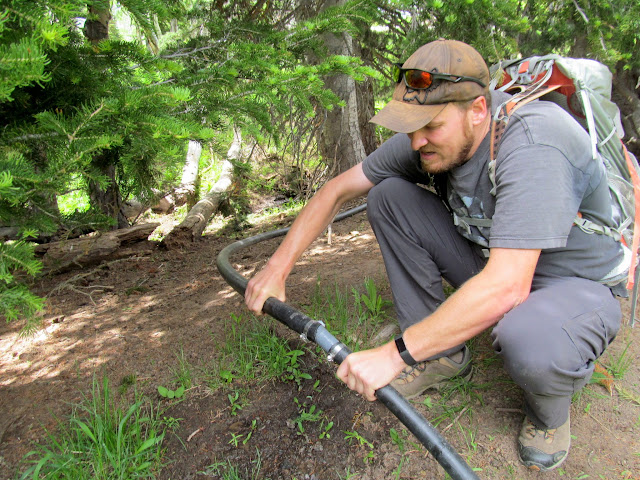 Reconnecting a water line between a spring and a trough