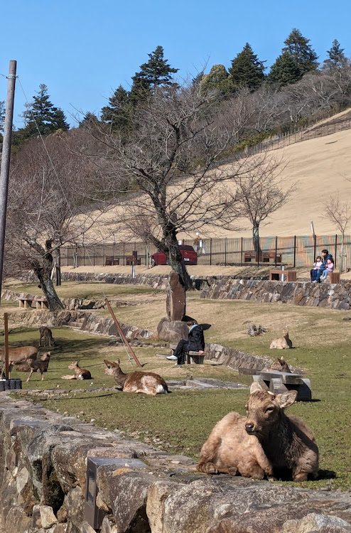 の投稿画像3枚目