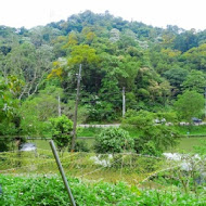 樂活山中湖庭園餐廳