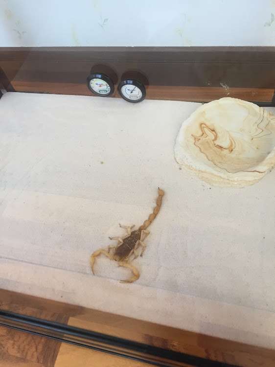 CHANELさんが投稿したカスタム事例の投稿画像1枚目