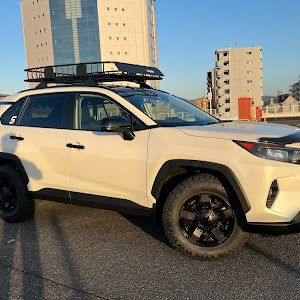 RAV4 MXAA54