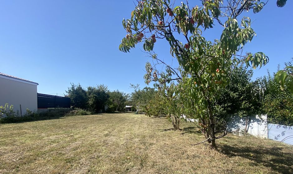 Vente terrain  1197 m² à Meschers-sur-Gironde (17132), 245 000 €