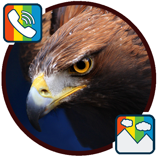 Eagle Ringtones And Wallpapers Aplikasi Di Google Play