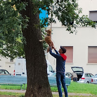 all'inseguimento di uno scoiattolo .. il padrone cerca di tirare via il suo cane di 