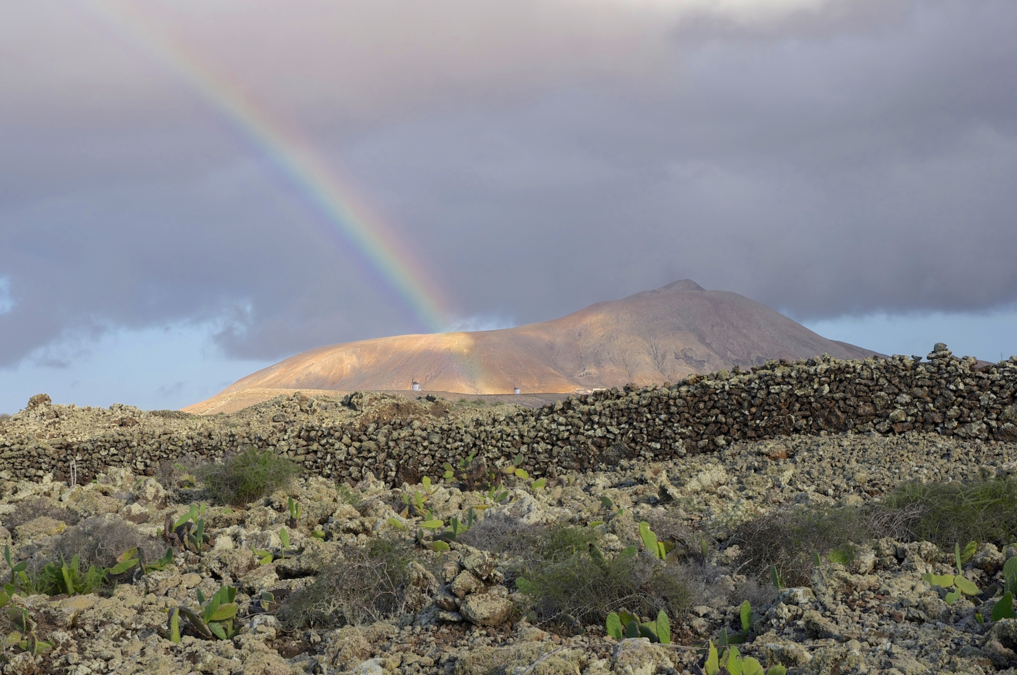 Fuerteventura. di Cristhian Raimondi