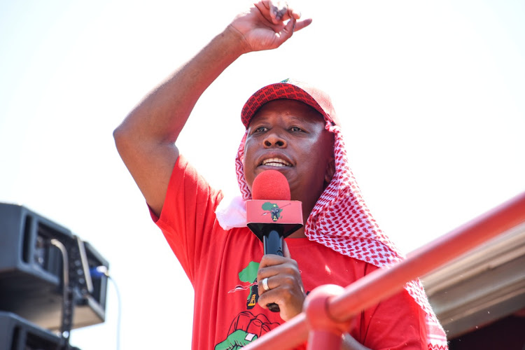 EFF leader Julius Malema says he wants to help a former security guard who has been sentenced to 12 years in jail after he was found guilty of instigating unrest. File photo.