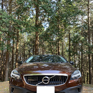 V40