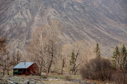 Свадебный фотограф Анна Шадрина (ashan). Фотография от 6 августа 2015