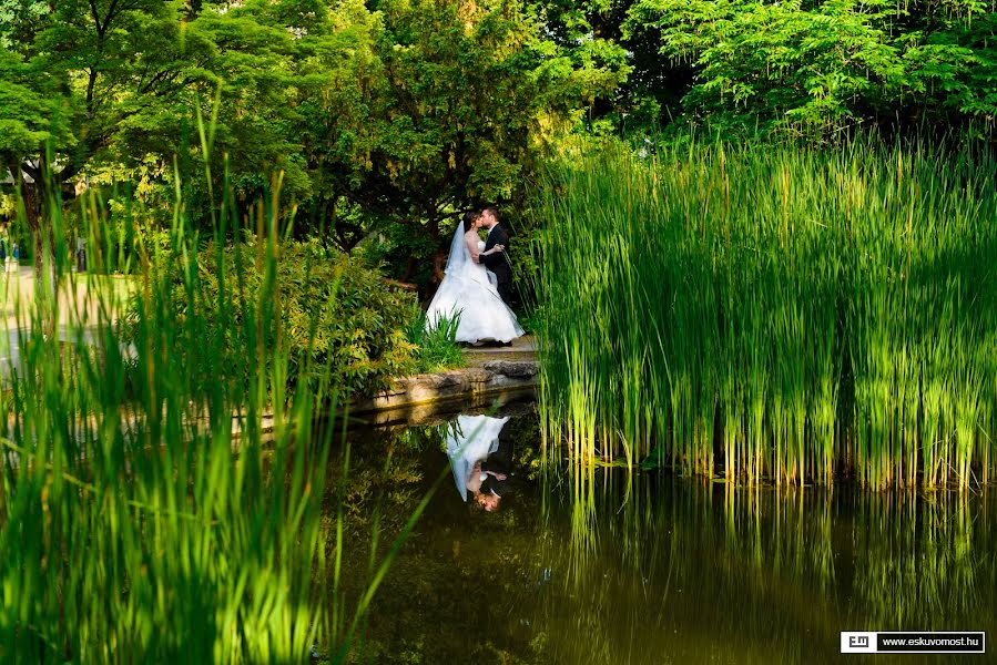 Fotografo di matrimoni Esküvő Most (eskuvomost). Foto del 3 marzo 2019