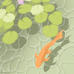 Fishy Magic Water