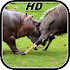 Wild animals documentaries HD4.0.0