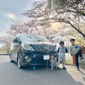 アルファード ANH20W