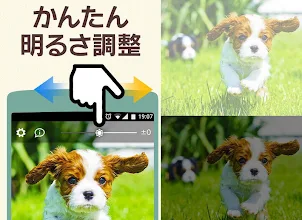 犬の可愛い壁紙 Google Play のアプリ