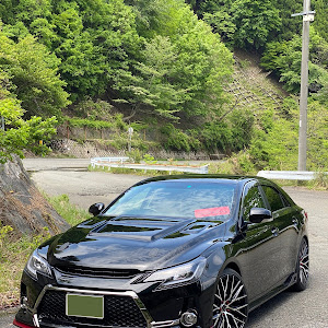 マークX GRX130系