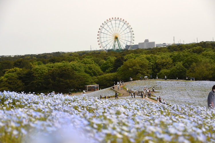 の投稿画像2枚目