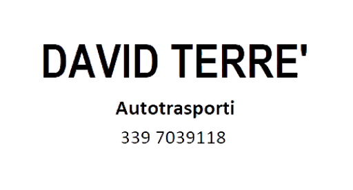 DAVID TERRE'
