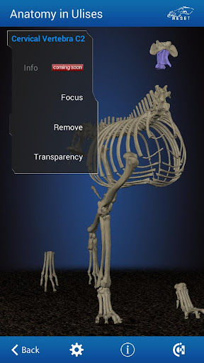 免費下載醫療APP|Osteology in Dogs app開箱文|APP開箱王