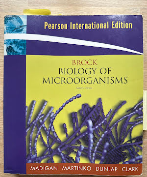 BROCK BIOLOGY OF MICROORGANISMS, GLOBAL EDITION.