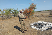 Kruger National Park ranger Joe Nkuna says they had to burn more than 80 carcasses of vultures which died after eating a poisoned carcass.