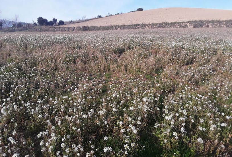  Vente Terrain à bâtir - à Limoux (11300) 