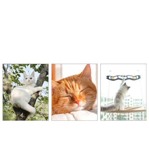 Title 4, Pet Litter Sucker Hanging Cat Window Hammock a ...