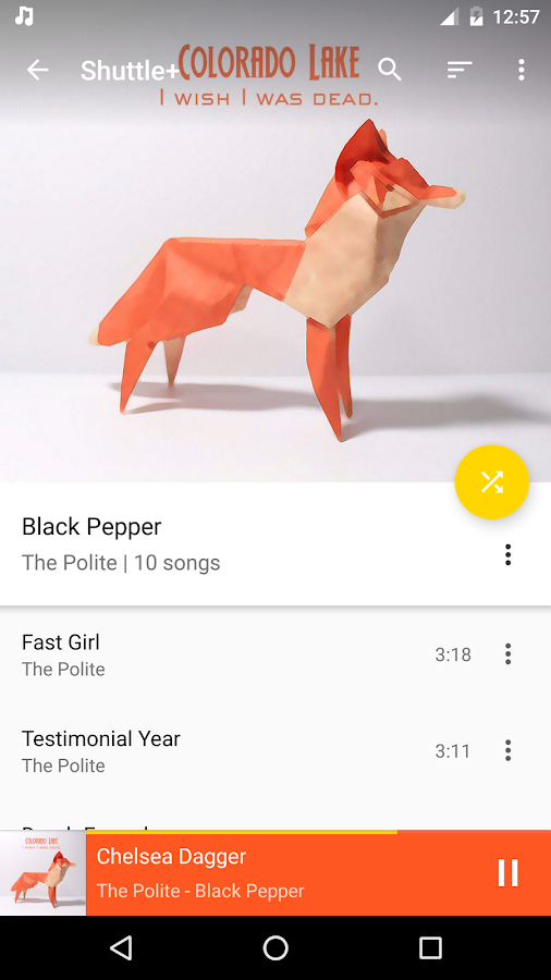   Shuttle Music Player: captura de pantalla 