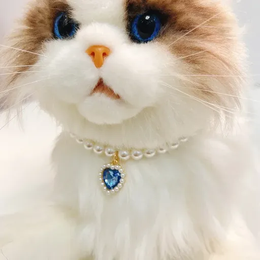 Fashion Rhinestones Sphynx Cat Collar Kitten Dog collier chat Adjustable Pet Pearl Necklace Accessories for Cats Gotas A