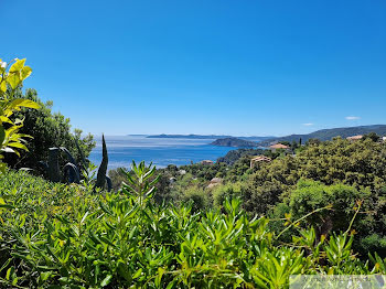 propriété à Rayol-Canadel-sur-Mer (83)