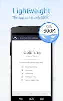Dolphin Zero Incognito Browser Screenshot
