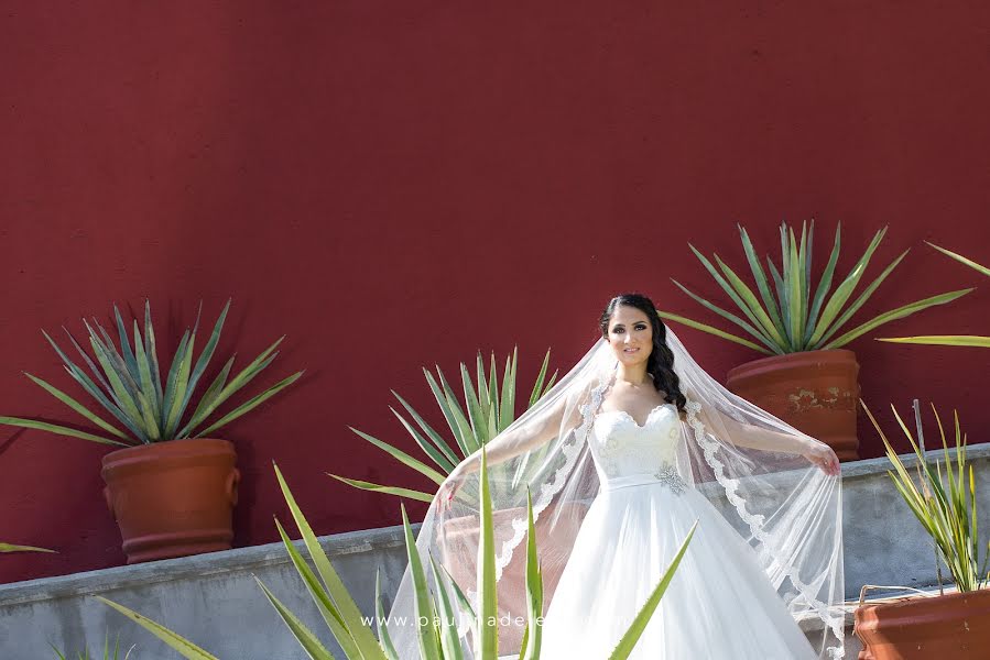 Fotógrafo de bodas Paulina De Leon (paulinadeleon). Foto del 25 de septiembre 2018