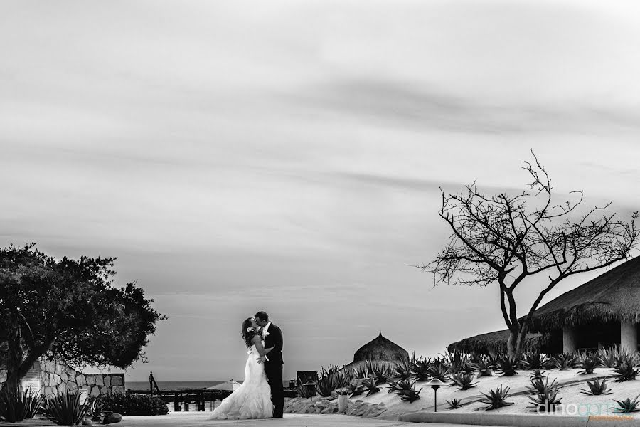 Fotógrafo de casamento Dino Gomez (dinogomez). Foto de 26 de agosto 2014