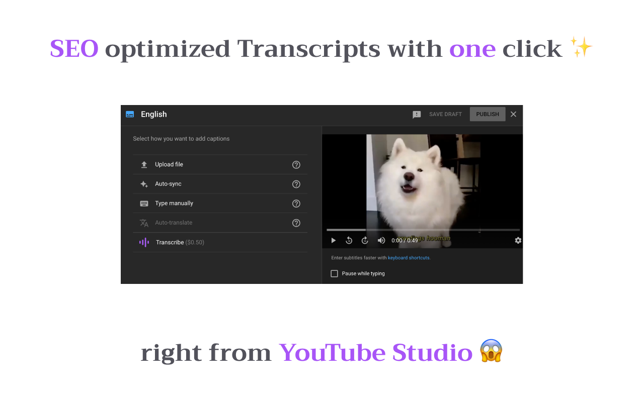 Grow your YouTube with SEO | Tube Transcripts Preview image 1