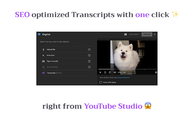 Grow your YouTube with SEO | Tube Transcripts chrome extension