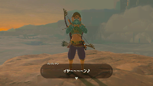 ゼルダBotW＿淑女の服で暑さ対策