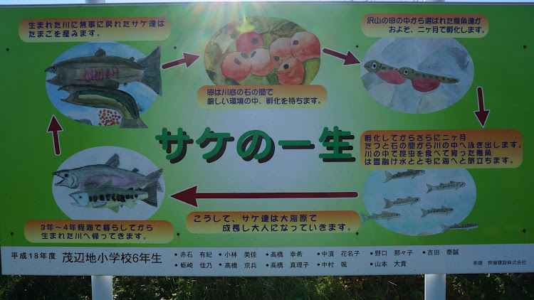 ストリームのドライブ・洗車・鮭の遡上・川・最高の天気に関するカスタム事例の投稿画像3枚目