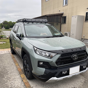 RAV4 MXAA54