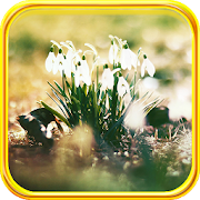 Snowdrops New Spring 1.2 Icon