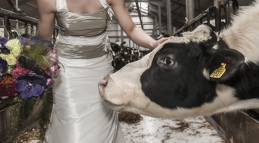 Photographe de mariage Reina De Vries (reinadevries). Photo du 12 avril 2019