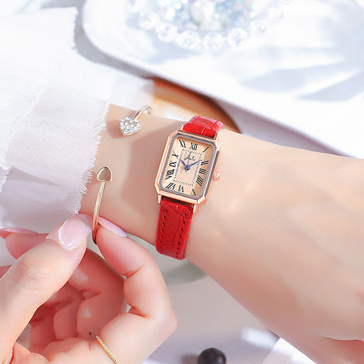 Title 5, New Niche Watch Female Simple Temperament