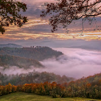 La nebbia agli irti colli... di 