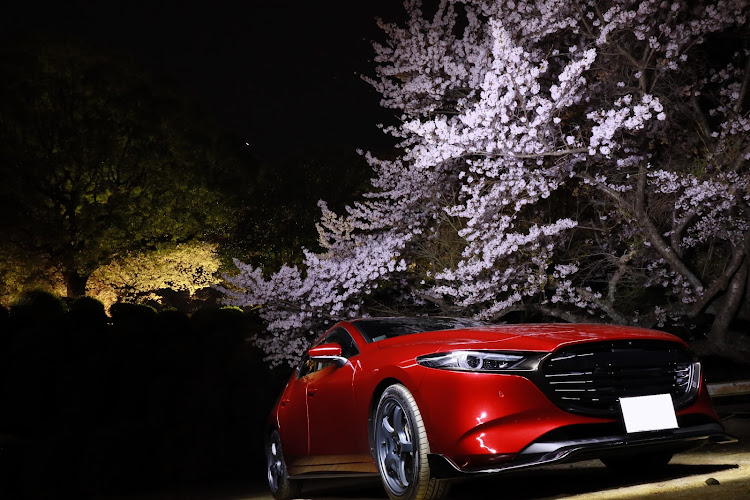 MAZDA3の広島・夜桜・桜とコラボ🌸・突然の出会い・穴場スポット♡に関するカスタム事例の投稿画像4枚目