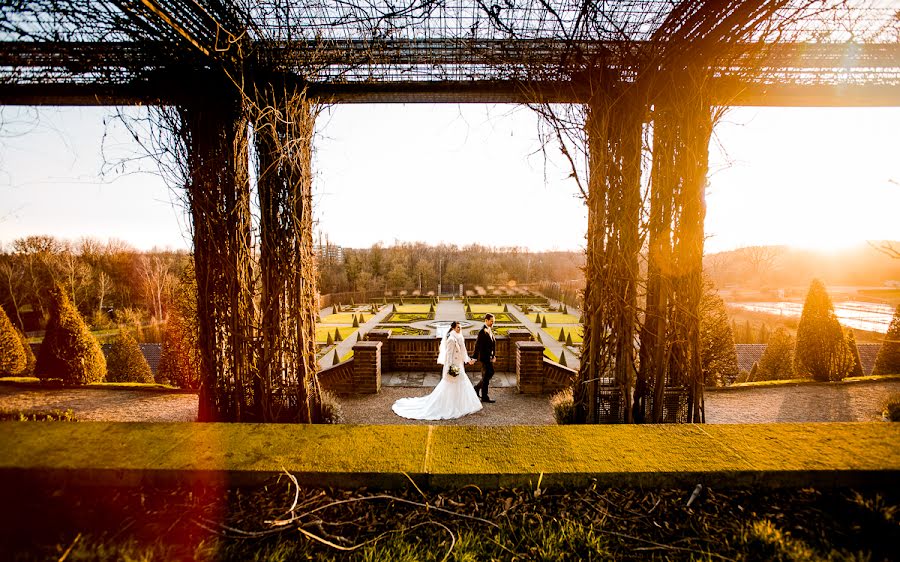 Fotografo di matrimoni David Hallwas (hallwas). Foto del 9 gennaio 2016