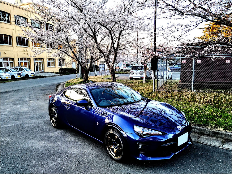 86の86・86 zn6・桜とコラボ🌸に関するカスタム事例の投稿画像1枚目