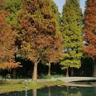 菁芳園 Tenway Garden／花園餐廳／落羽松